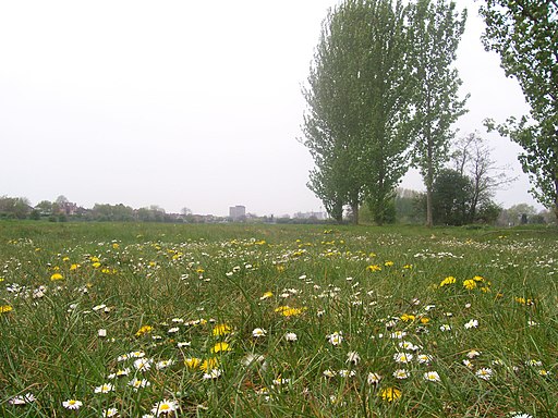 The Hook nature reserve in Lady Bay